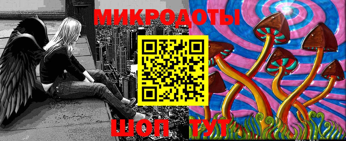 Псилоцибиновые грибы Psilocybe Краснокамск