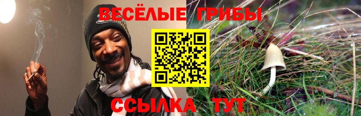 Краснокамск  закладка  Вход с VPN  Псилоцибиновые грибы мухоморы 